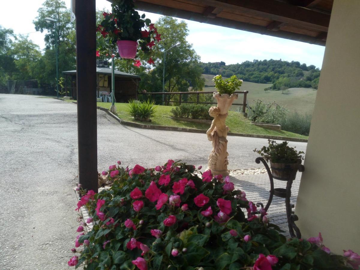 B&B Marcello & Francesca Urbino Exteriör bild