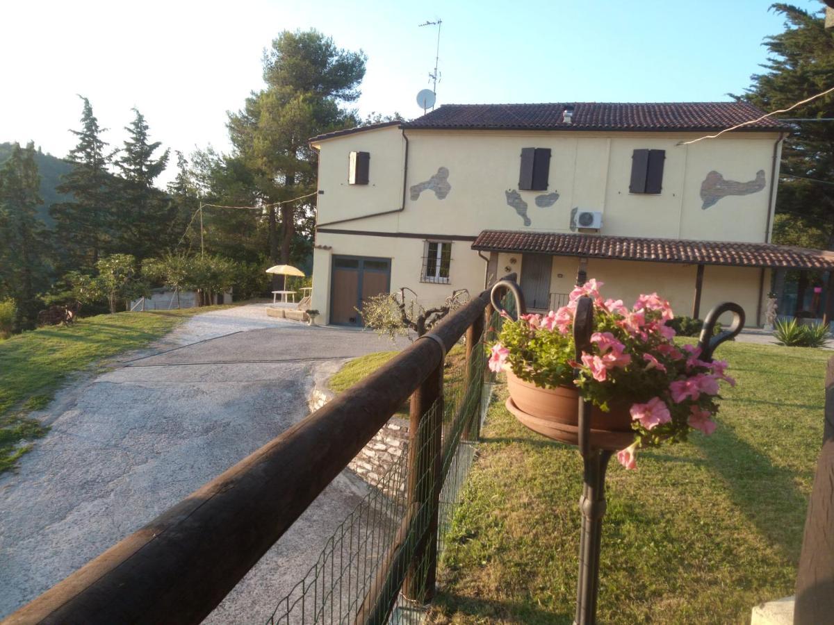 B&B Marcello & Francesca Urbino Exteriör bild